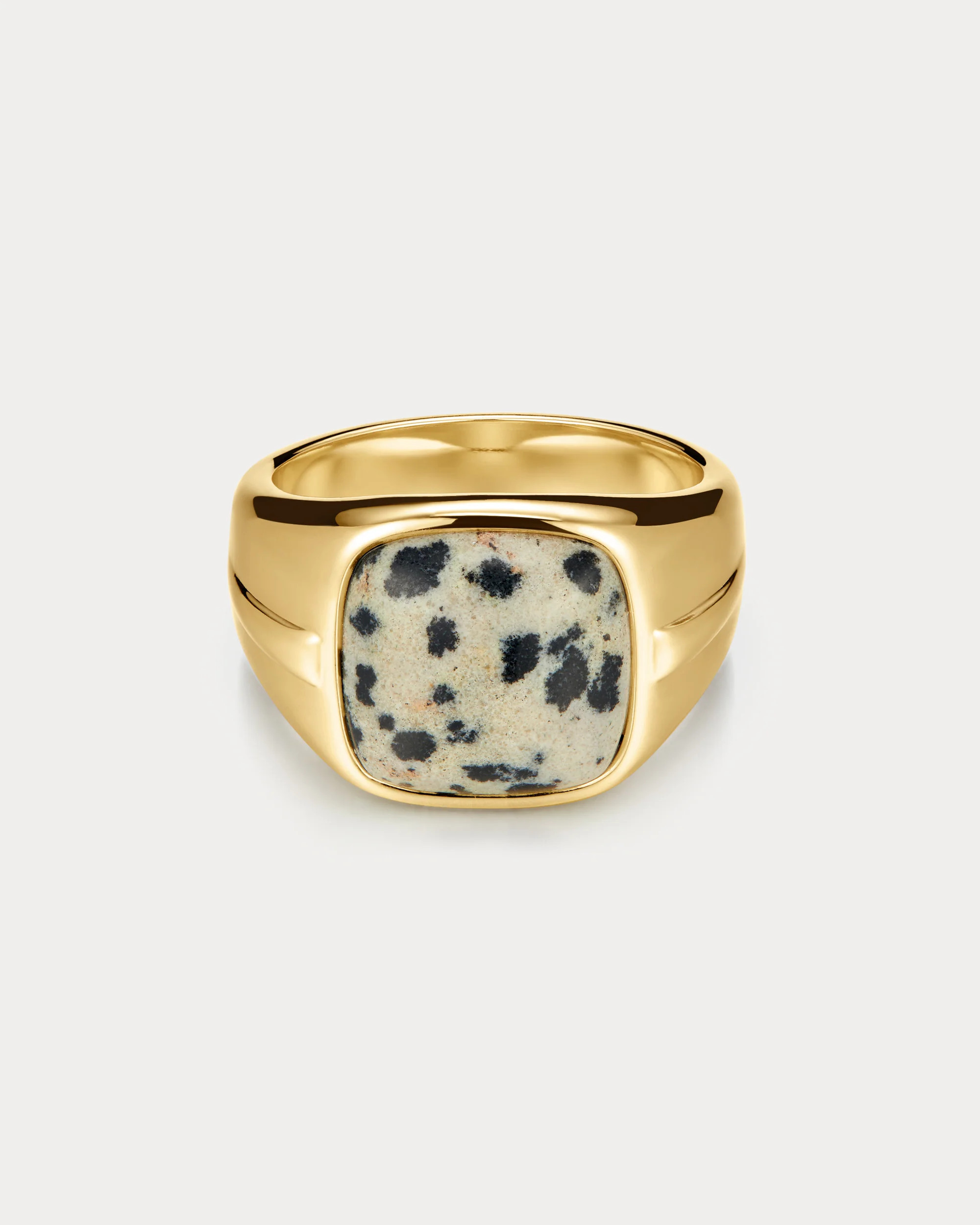 The Palma Signet Ring- Gold | Luv Aj Inc.