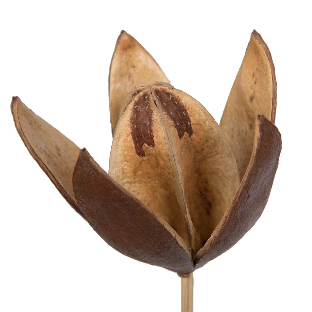 Natural Botanicals 20" Lily on Stem. Includes 50 Stems per Pack (Set of 50) | Wayfair North America
