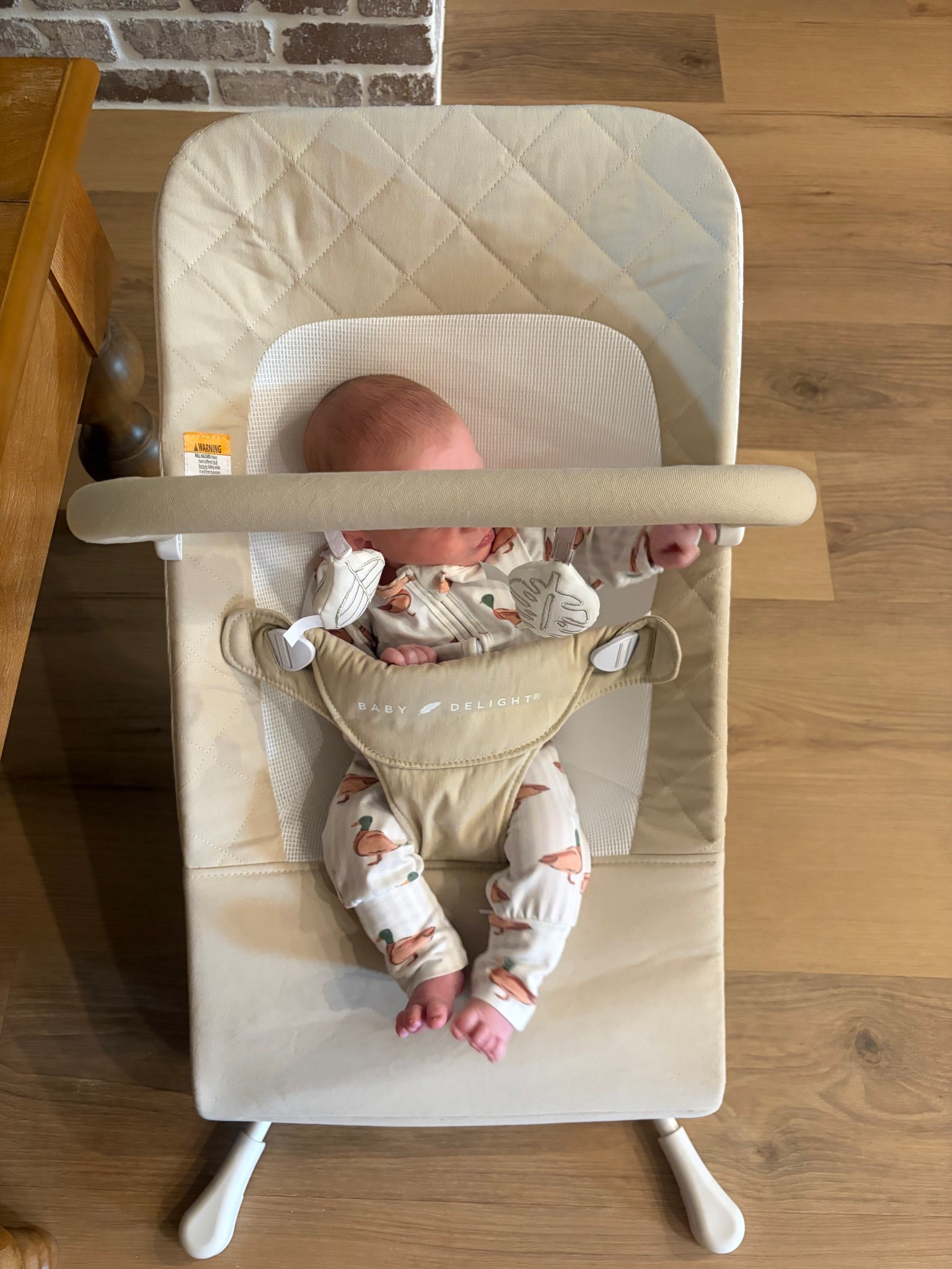 baby bouncer 🤍🧸

#LTKmomlife #LTKBaby #LTKHome