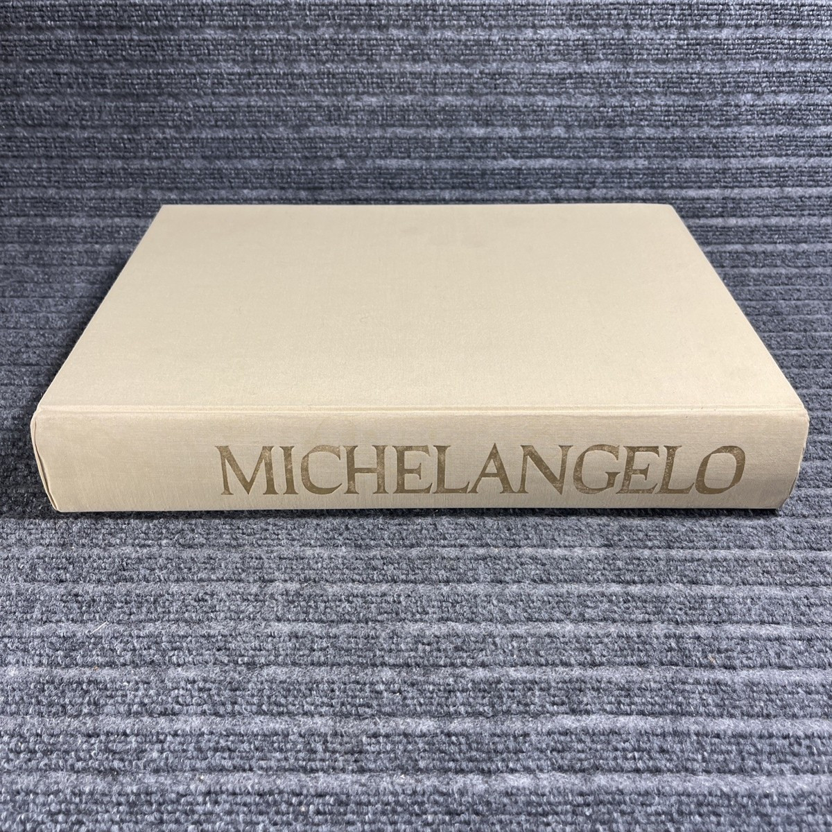 The Complete Work of Michaelangelo Reynal Co. Coffee Table Art Book w/ Slipcover | eBay US