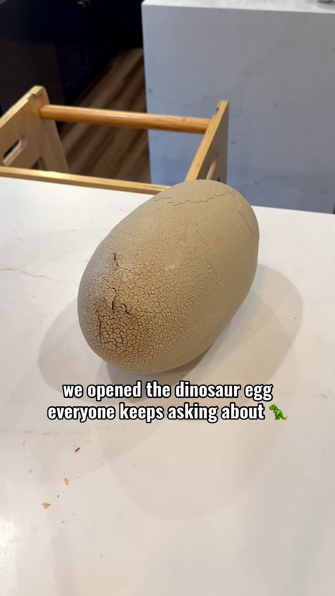 This was SO fun the kids were entertained the whole time and now they are training the Dino 🦖

#LTKKids #LTKGiftGuide