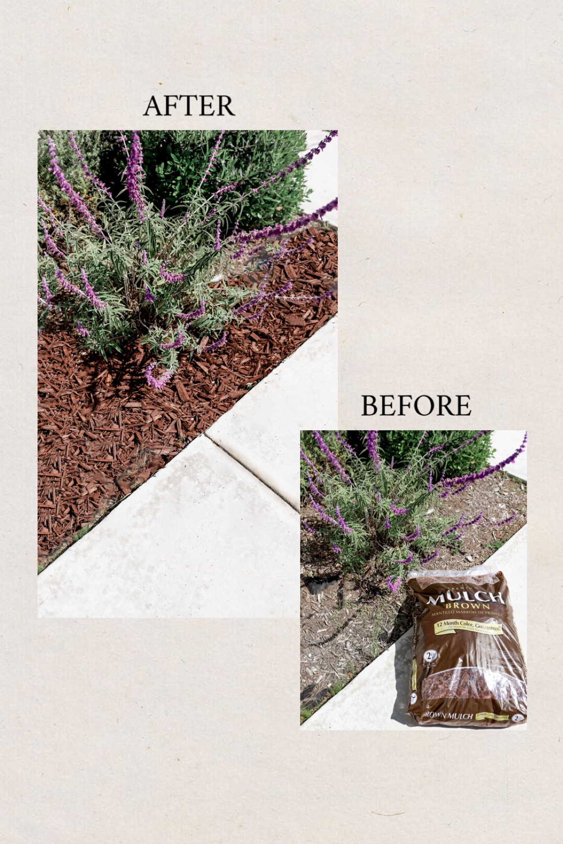 Freshen up your planters with the Premium Hardwood Mulch, and keep things clean with this leaf blower from Lowe’s that’s currently on sale for their SpringFest event where you can save up to 25% on outdoor power equipment! 

#AD @Loweshomeimprovement #Lowespartner

#LTKhome #LTKSeasonal #LTKsalealert