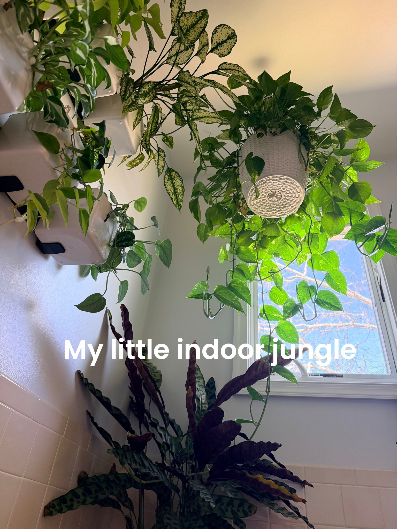 #LTKHome #LTKOver40 #LTKdayinmylife