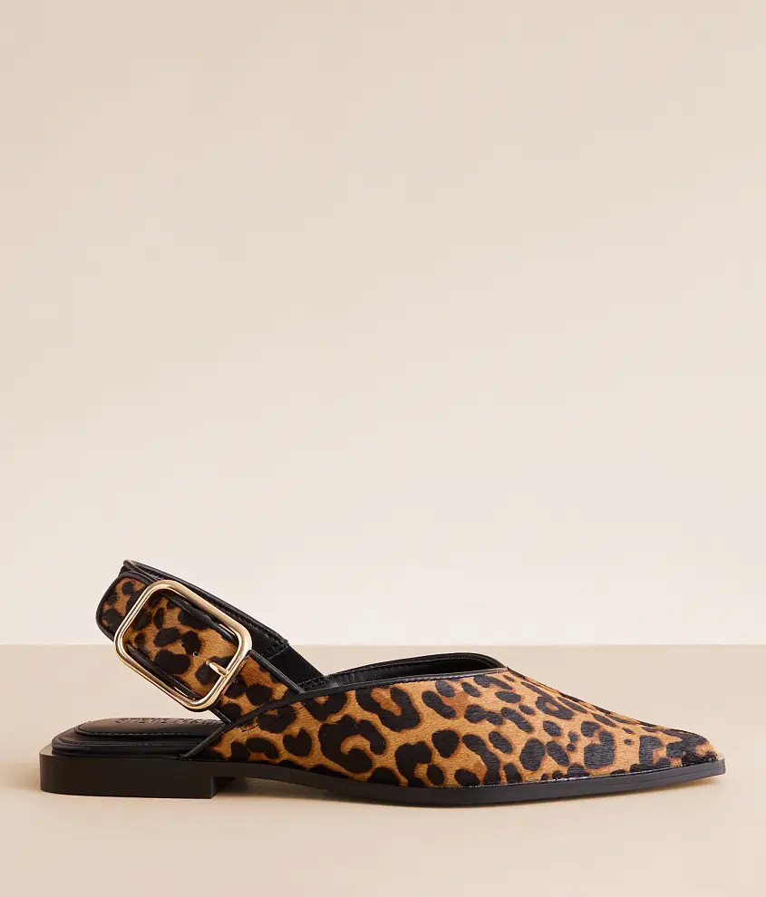 Shay Leopard Shoe | Buckle