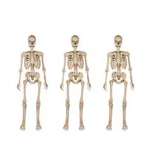 3-Pack 5 ft. Grave & Bones Ultra Poseable LED Skeleton | The Home Depot