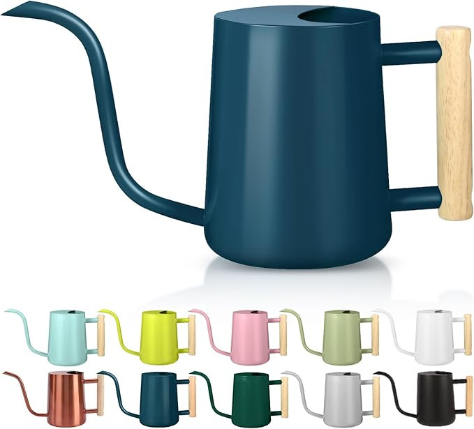 Watering Can Indoor Plants, 35oz Small Stainless Steel Metal Watering Can Modern Decorative Water... | Amazon (US)