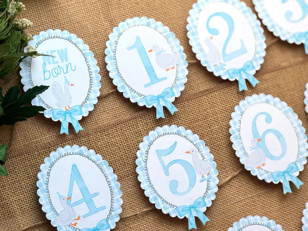 12 One Silly Goose Boy Birthday Photo Milestone Banner - NB to 12 Month Silly Goose First Birthda... | Etsy (US)