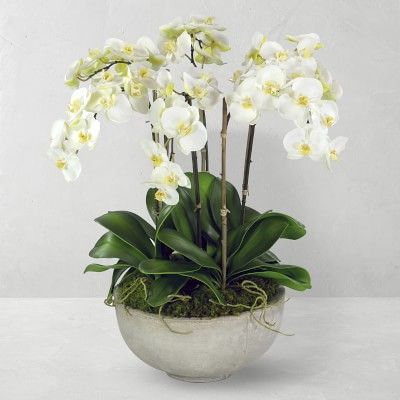 28" Faux Orchids in Planter | Williams-Sonoma
