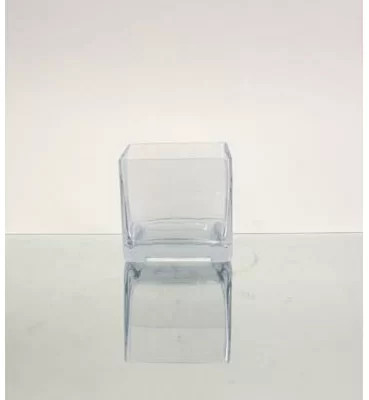 Square Cube Vase | Wayfair North America