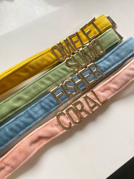 The cutest new dog collars arrived for the babies!!!! 