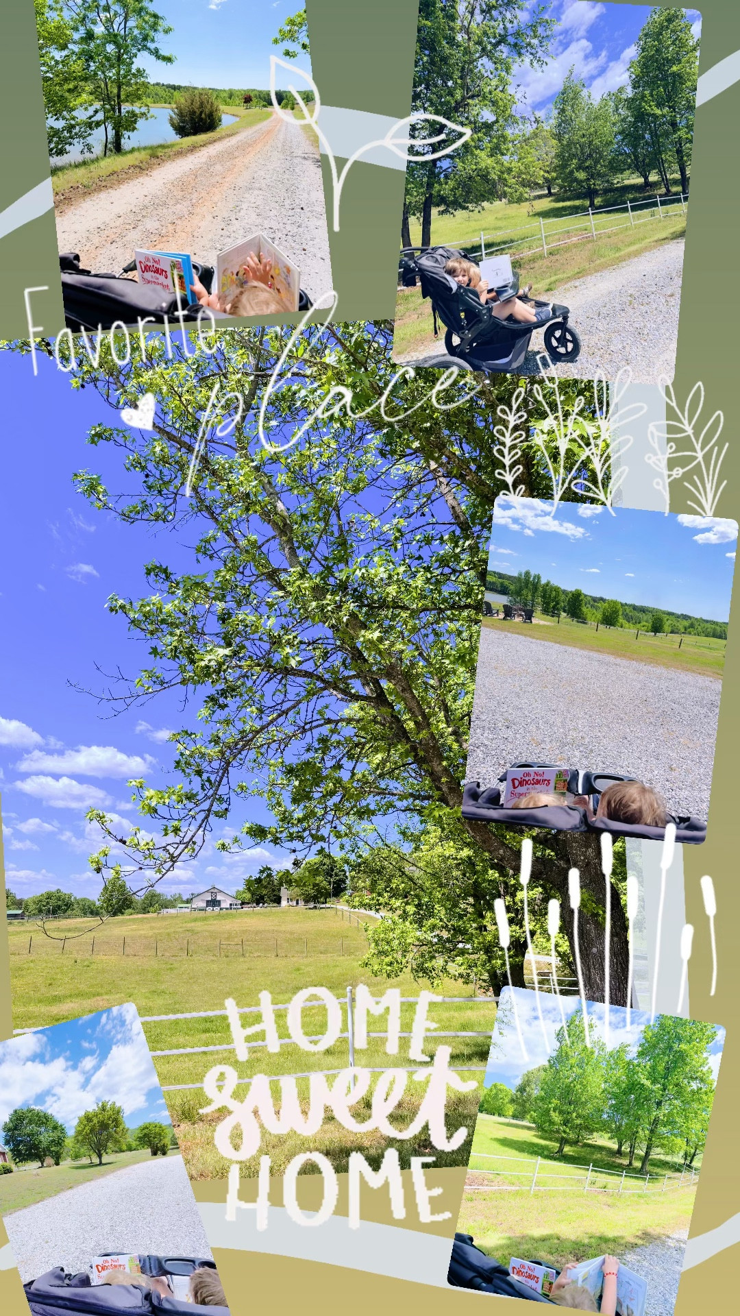 Daily walking views >>>