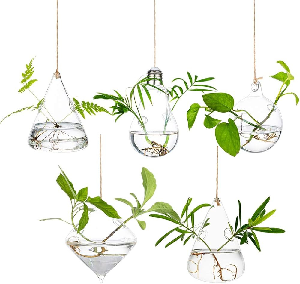 Glasseam Hanging Planters Glass Terrarium: 5Pcs Modern Plant Propagation Stations Hydroponic Wall... | Amazon (US)
