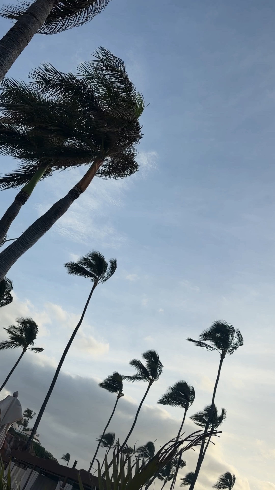 If you have palm trees I’m coming 🌴🌊

#LTKTravel #LTKSwim #LTKselfcare