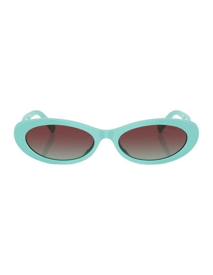 Tiffany & Co. Acetate Sunglasses in Blue 1 | Myer