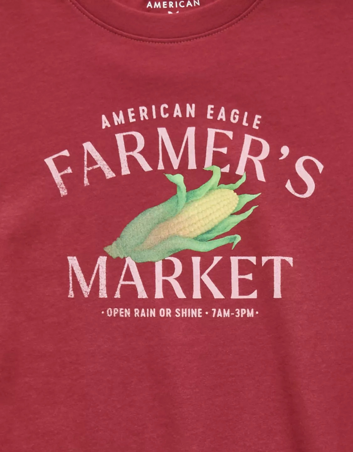 AE Everyday Graphic T-Shirt | American Eagle Outfitters (US & CA)