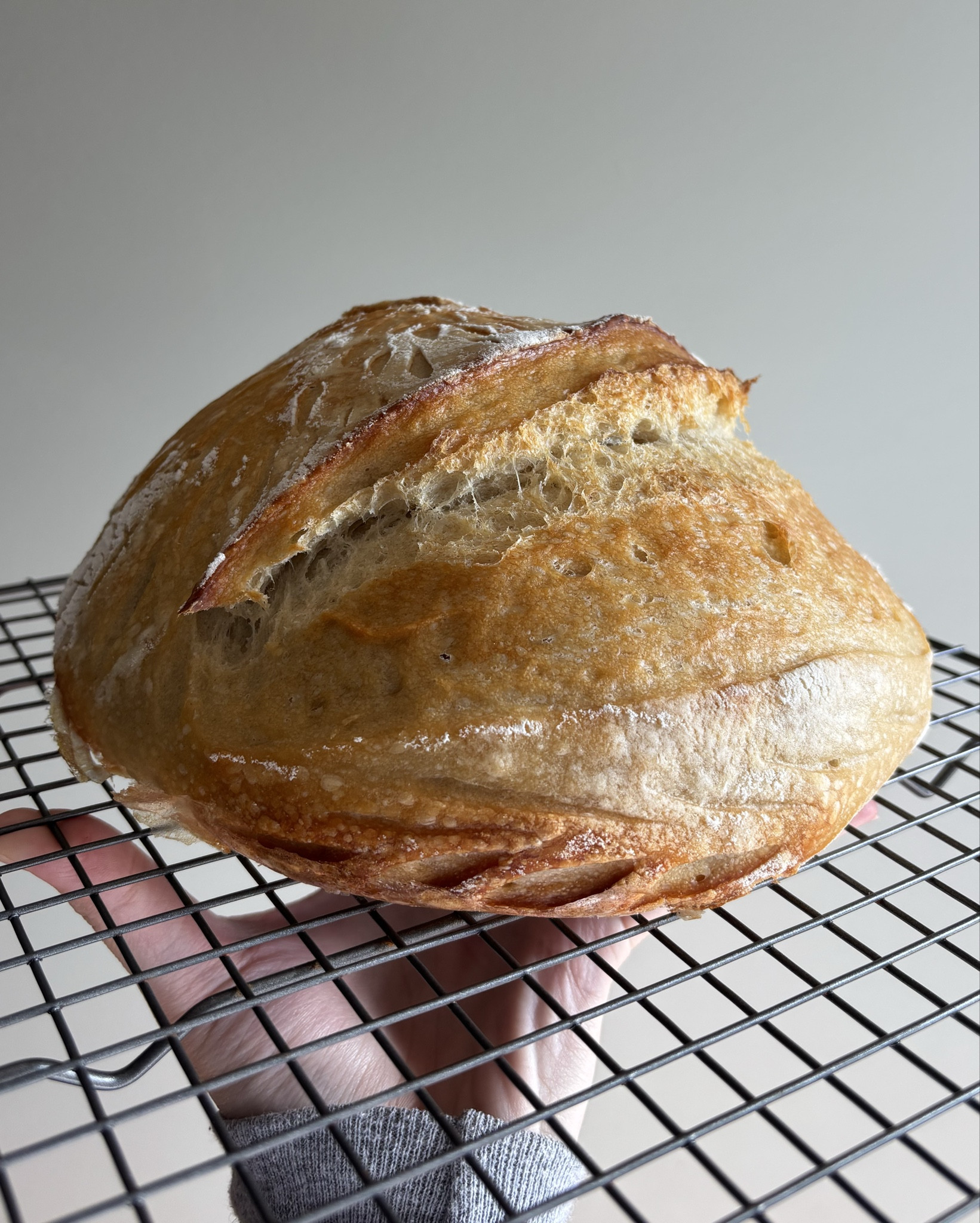 Another day another loaf! This one is going to my sweet friend Sarah who is due with her first baby next week! Stocking up her freezer so she’s prepped for when baby girl gets here 🩷 linking my sourdough favs 🫶🏼

#LTKFindsUnder50 #LTKHome #LTKFamily