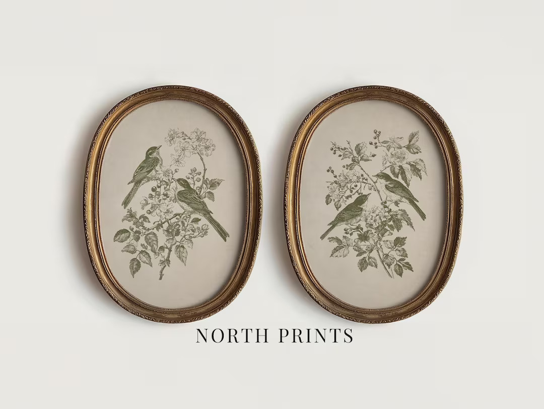 French Country Bird Prints Set: Antique Olive Green Botanical PRINTABLE Wall Art (digital Downloa... | Etsy (US)