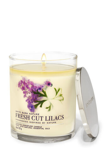 Fresh Cut Lilacs


Signature Single Wick Candle | Bath & Body Works