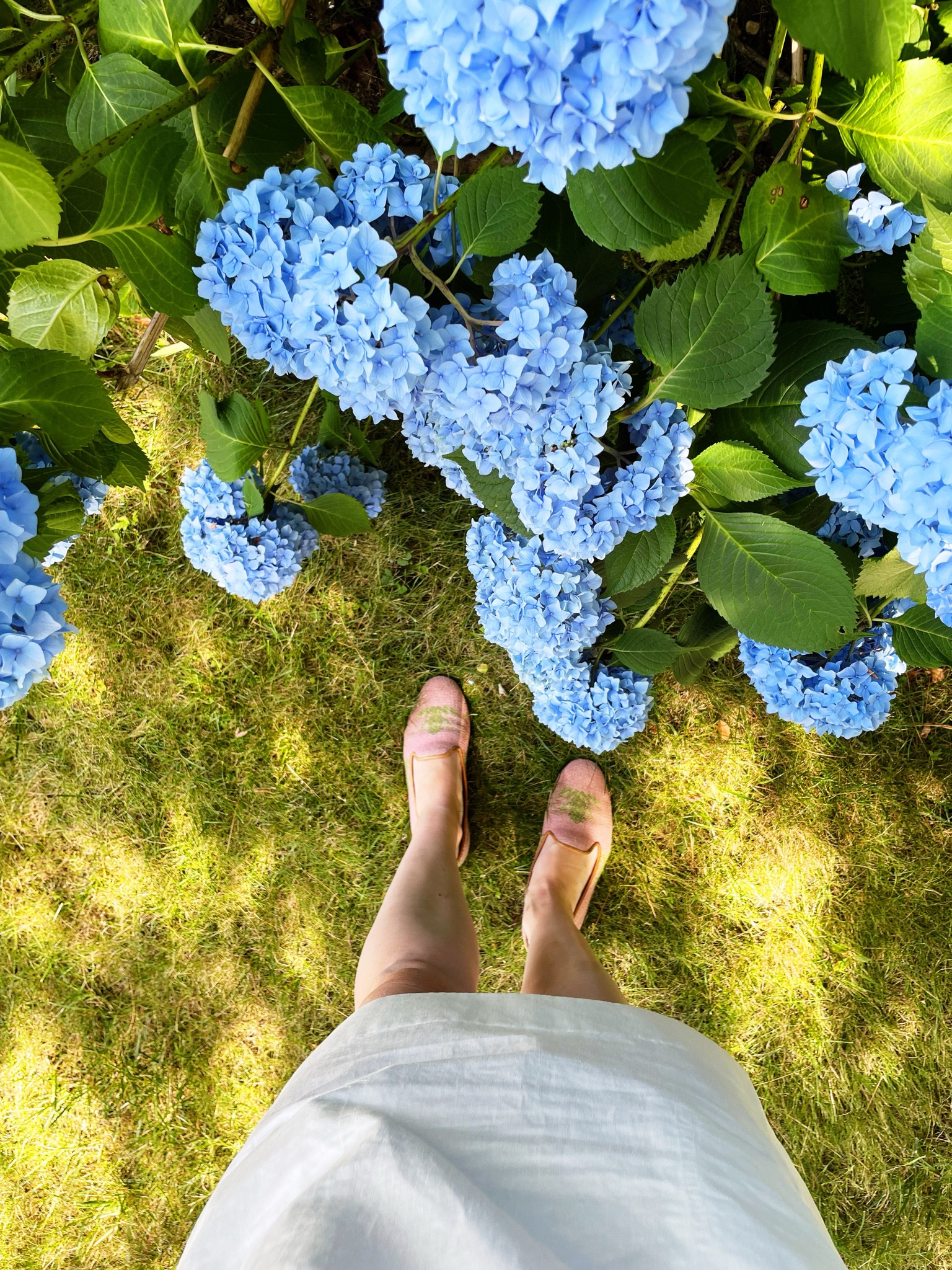 Last of the summer flowers

#LTKFindsUnder100 #LTKSaleAlert #LTKSeasonal