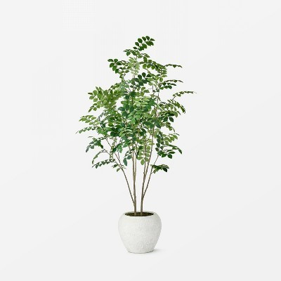 Moringa Artificial Tree Green - Threshold™ designed with Studio McGee: Unlit, Polyester, Indoor Decor, No Assembly | Target