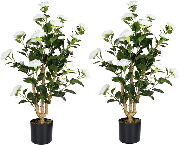 Howngyesimu Artificial Camellia Tree 2 Pack, 38’’ Faux Camellia Plant in Pot with White Flowe... | Amazon (US)