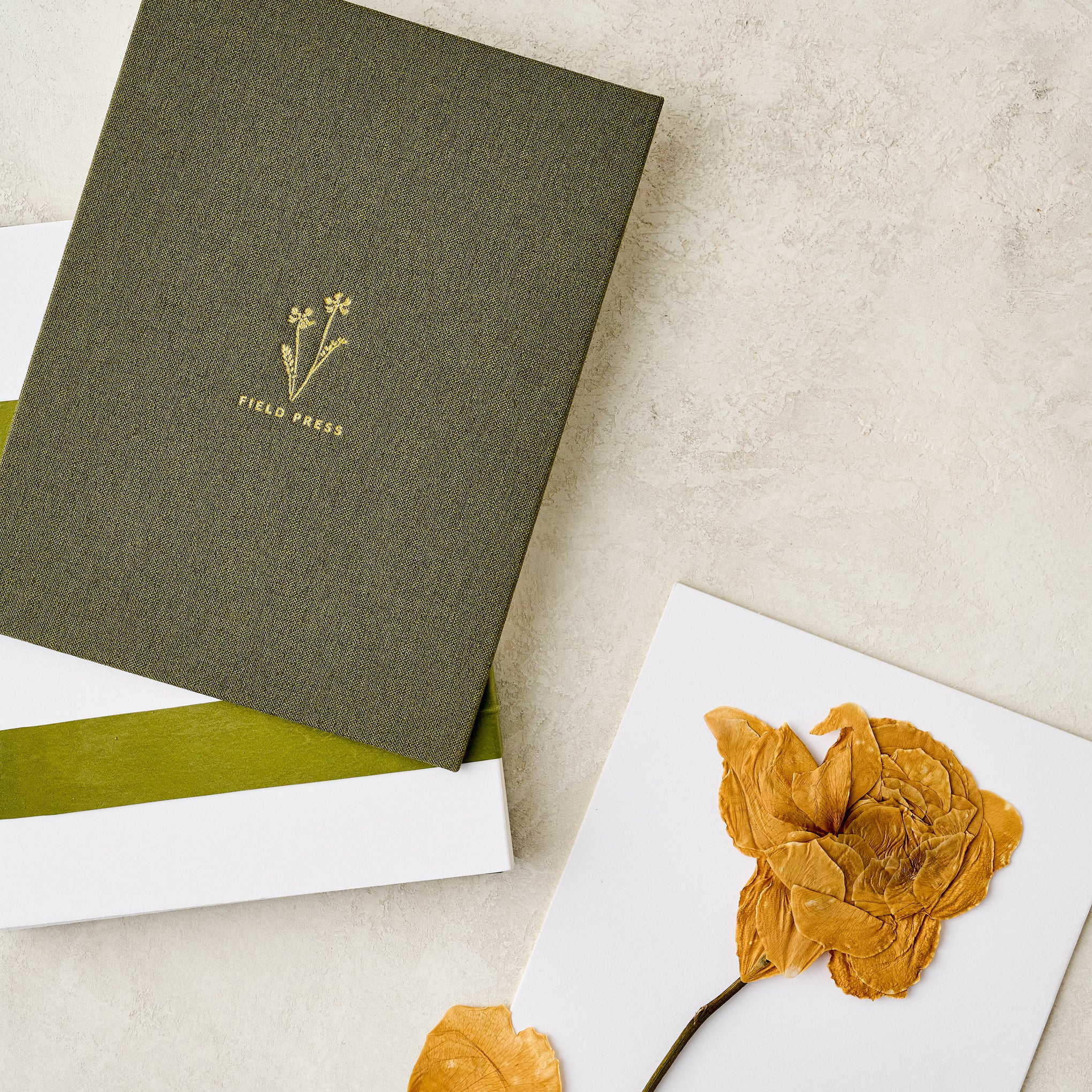 Field Flower Press | Magnolia