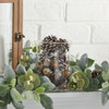 Click for more info about Holiday Time Acorn White Christmas Pinecones, 2 Pack - 6.25 " - Walmart.com