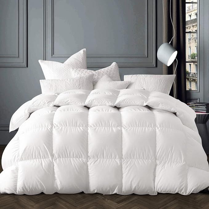 Globon Winter White Goose Down Comforter Queen Size,Down Duvet Insert 50 OZ,100% Cotton Shell,wit... | Amazon (US)