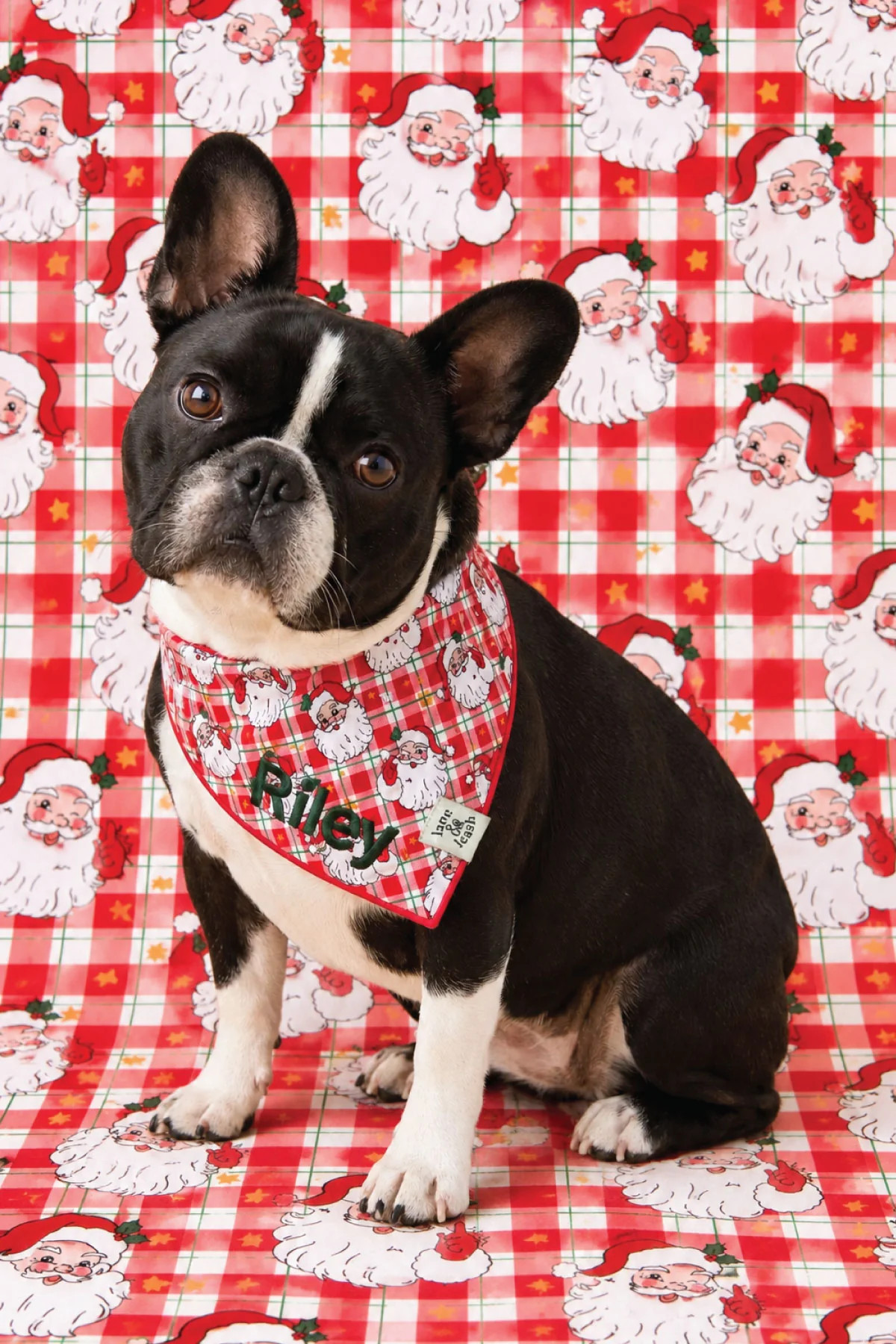 Embroidered Christmas Pet Bandana | Cozy Claus | Caden Lane