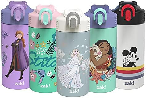 Zak Designs Disney Movie Frozen Elsa Vacuum Insulated Kids Water Bottle 14 oz 18/8 Stainless Stee... | Amazon (US)