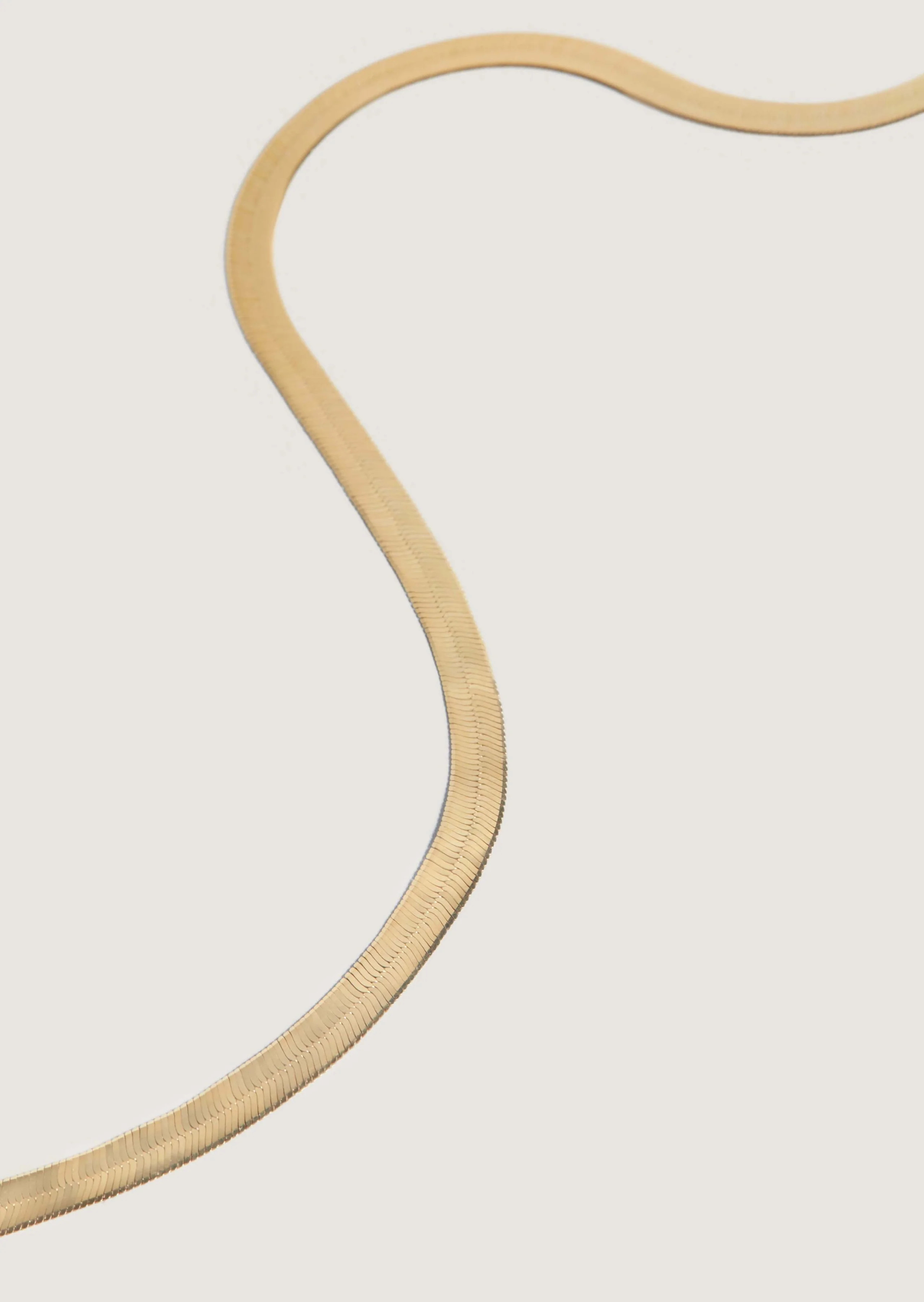Carter Herringbone Chain Necklace - Kinn | Kinn