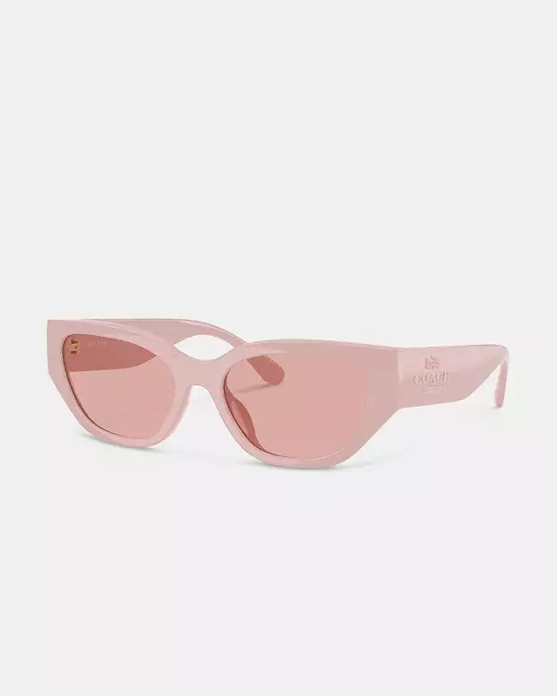 Geometric Cat Eye Sunglasses | Coach Outlet US