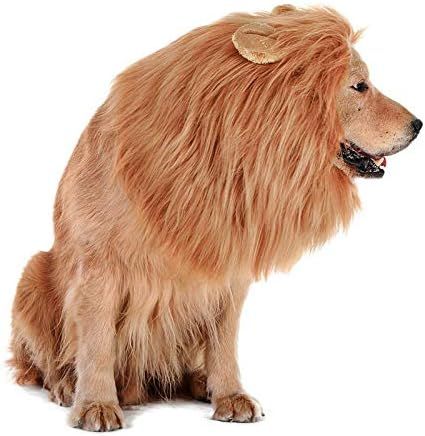 Lovelion Dog Hats - Interesting Dog Costumes Halloween - Dog Lion Mane Gift [Lion Tail] - Lion Wi... | Amazon (US)