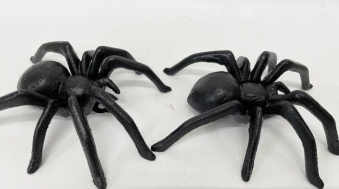 2pack - Cast iron spider | Etsy (US)