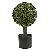 Nearly Natural 21” Boxwood Ball Topiary Artificial Tree, Green | Amazon (US)