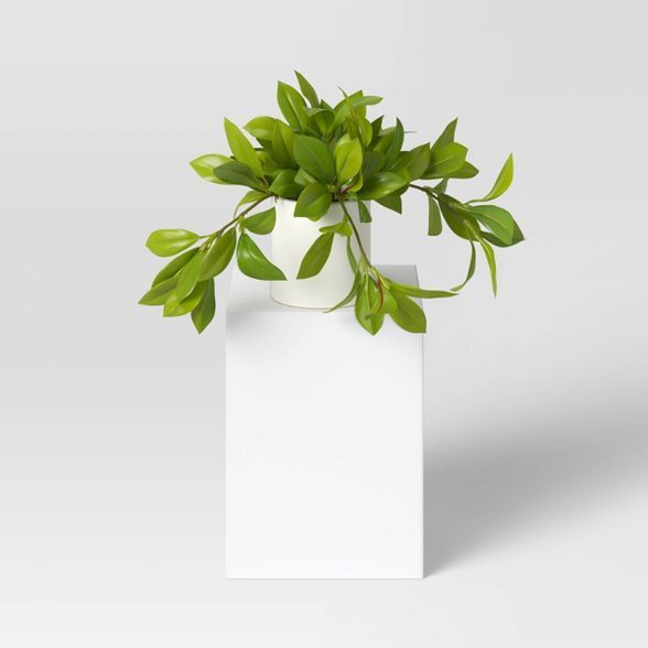 Hoya Potted Plant - Threshold™ | Target