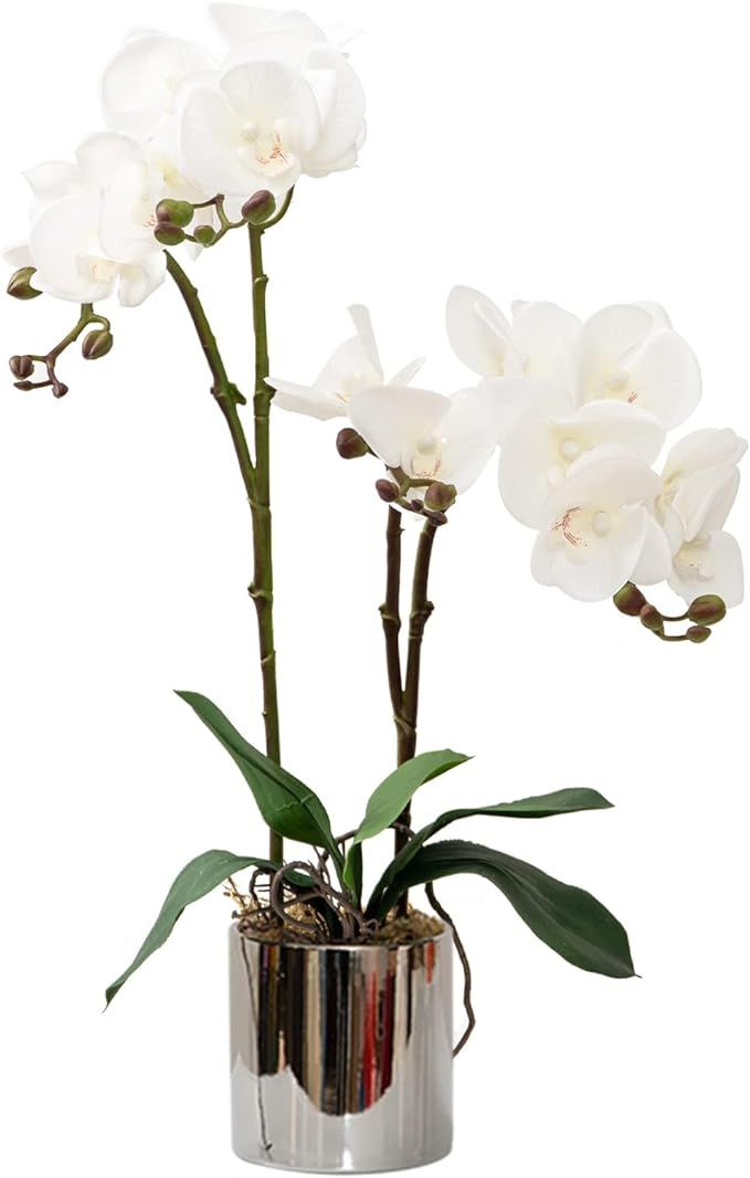 Artificial Orchid Flower Plant Real Touch Faux Orchids in Ceramic Vase White 19.7'' Fake Phalaeno... | Amazon (US)