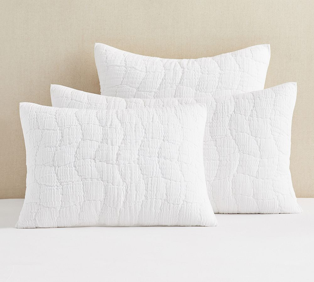Cloud Quilt & Shams | Pottery Barn (US)
