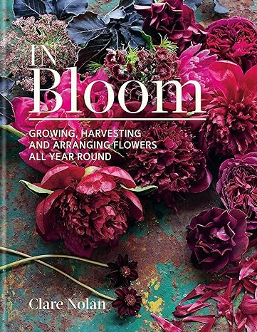 In Bloom     Hardcover – January 1, 2019 | Amazon (US)
