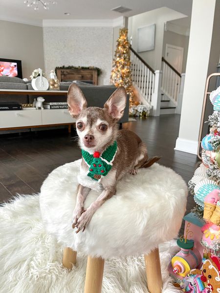 The cutest pet scarf!

Christmas scarf, dog scarf, dog clothes

#LTKSeasonal #LTKHoliday #LTKfamily