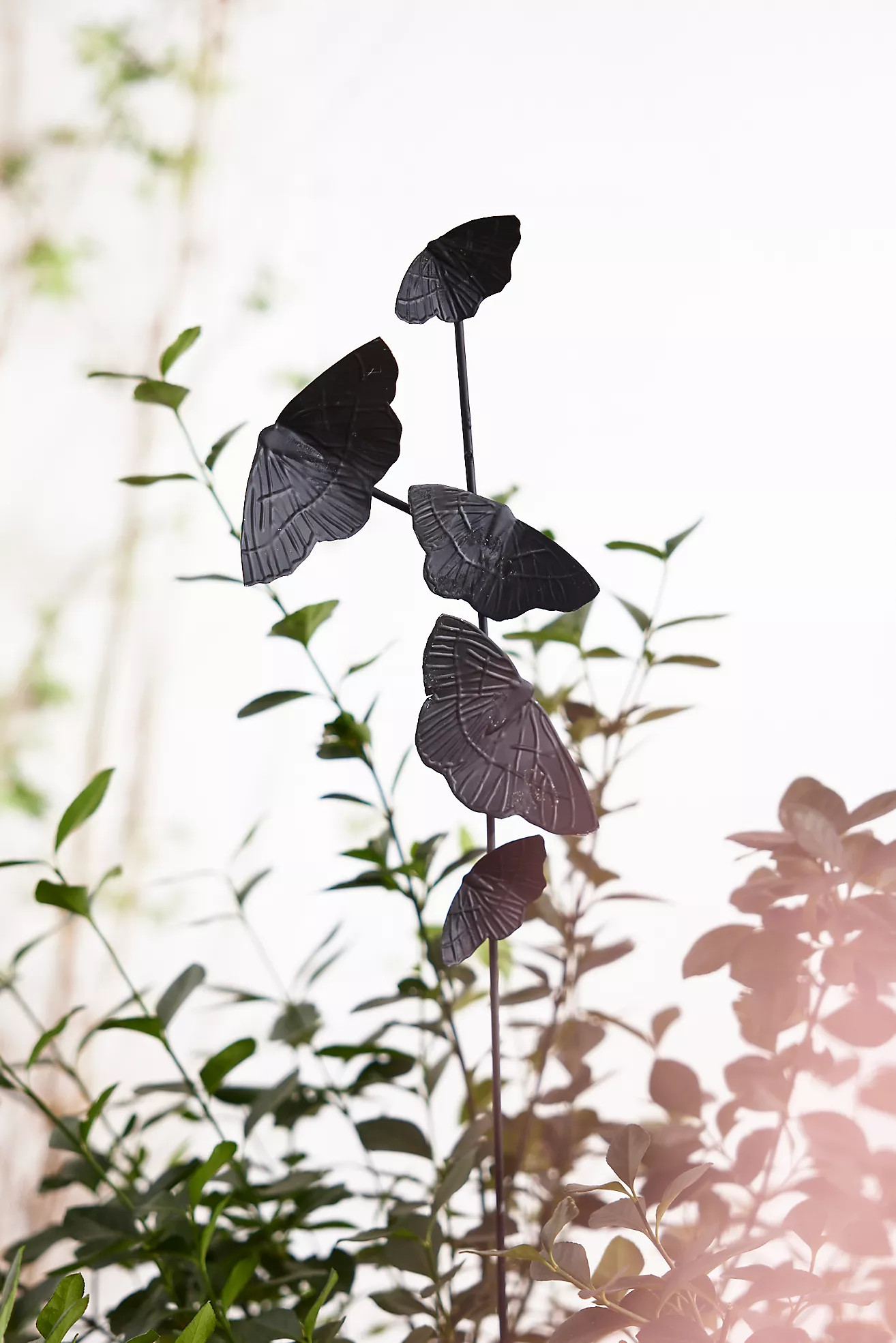 Moths Iron Stake | Anthropologie (US)