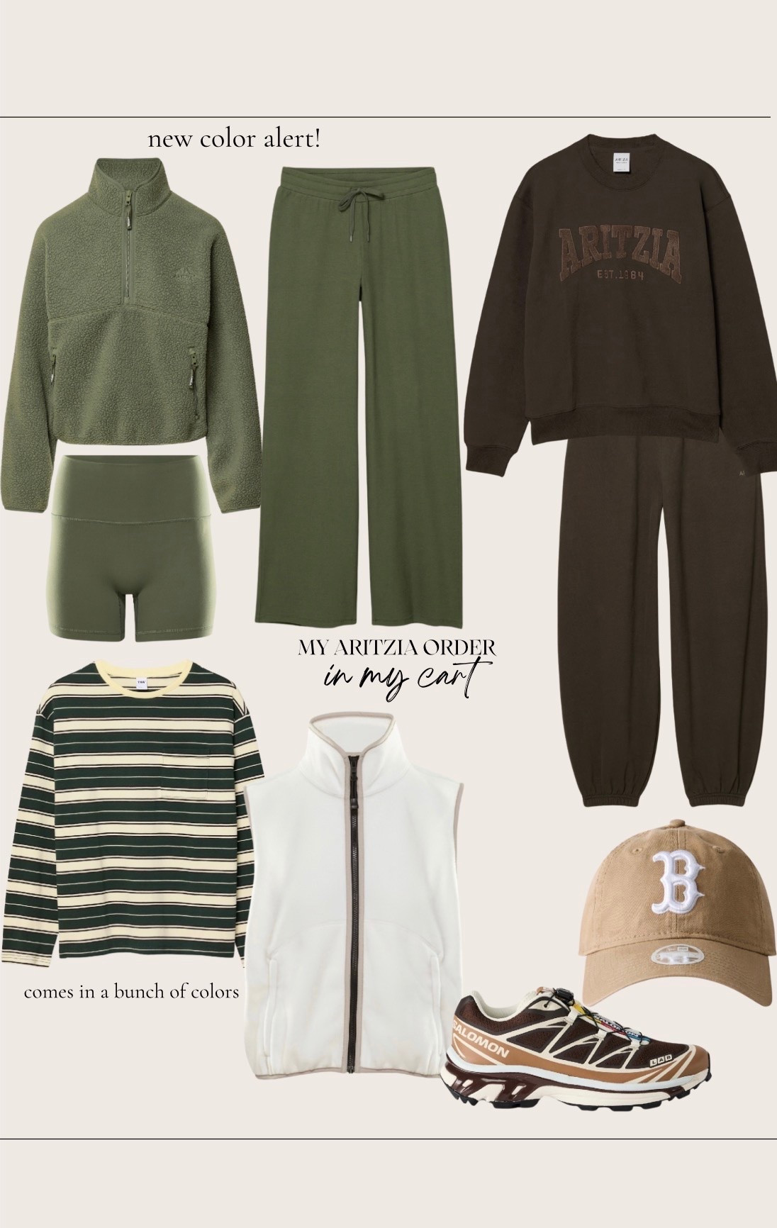Aritzia order