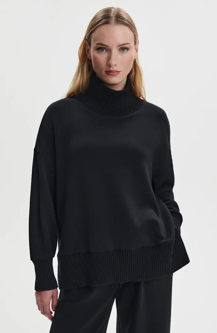 Barker Turtleneck Sweatshirt | Nordstrom