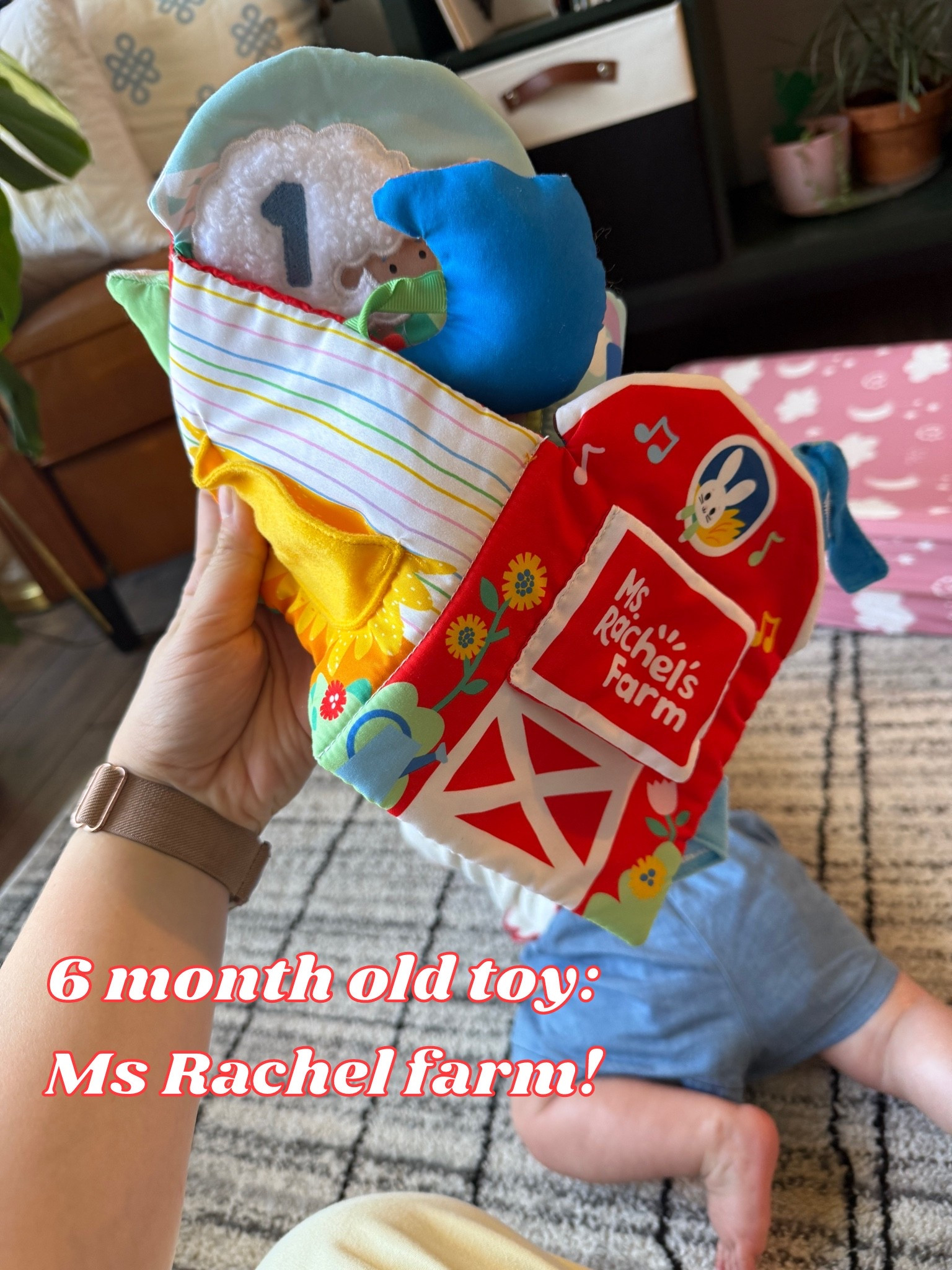 My 6 month old is loving this ms Rachel farm toy- especially all the different textures!

#LTKBump #LTKBaby #LTKmomlife
