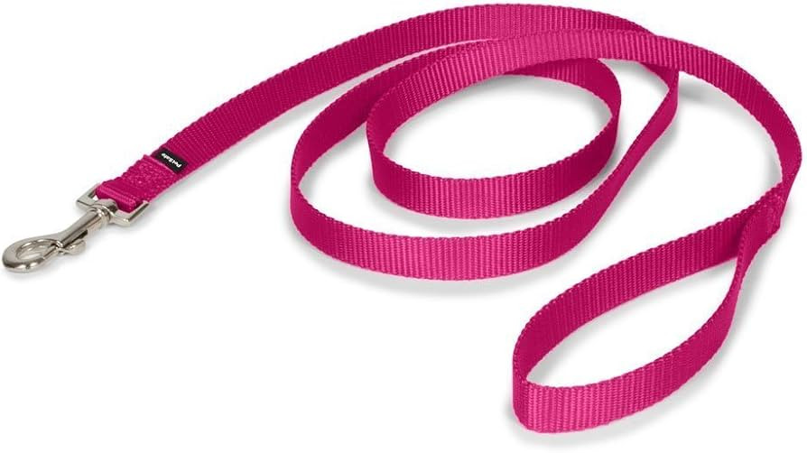 PetSafe Nylon Dog Leash - Strong, Durable, Traditional Style Leash with Easy to Use Bolt Snap - 3... | Amazon (US)