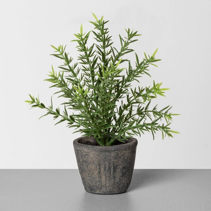 7.5" Faux Rosemary Potted Plant - Hearth & Hand™ with Magnolia | Target