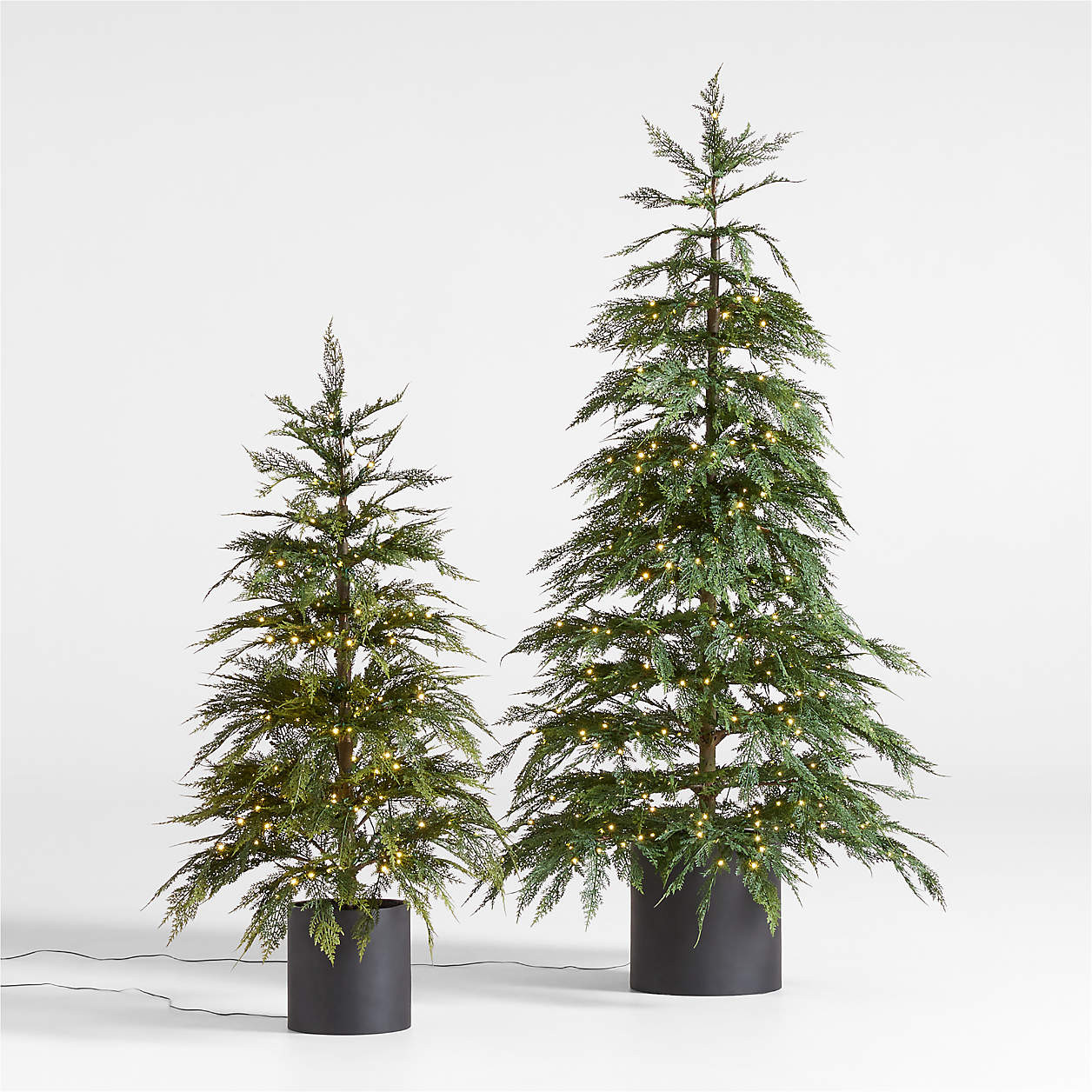 Potted Faux Hemlock Small Pre-Lit LED Christmas Tree with White Lights 4' + Reviews | Crate & Bar... | Crate & Barrel