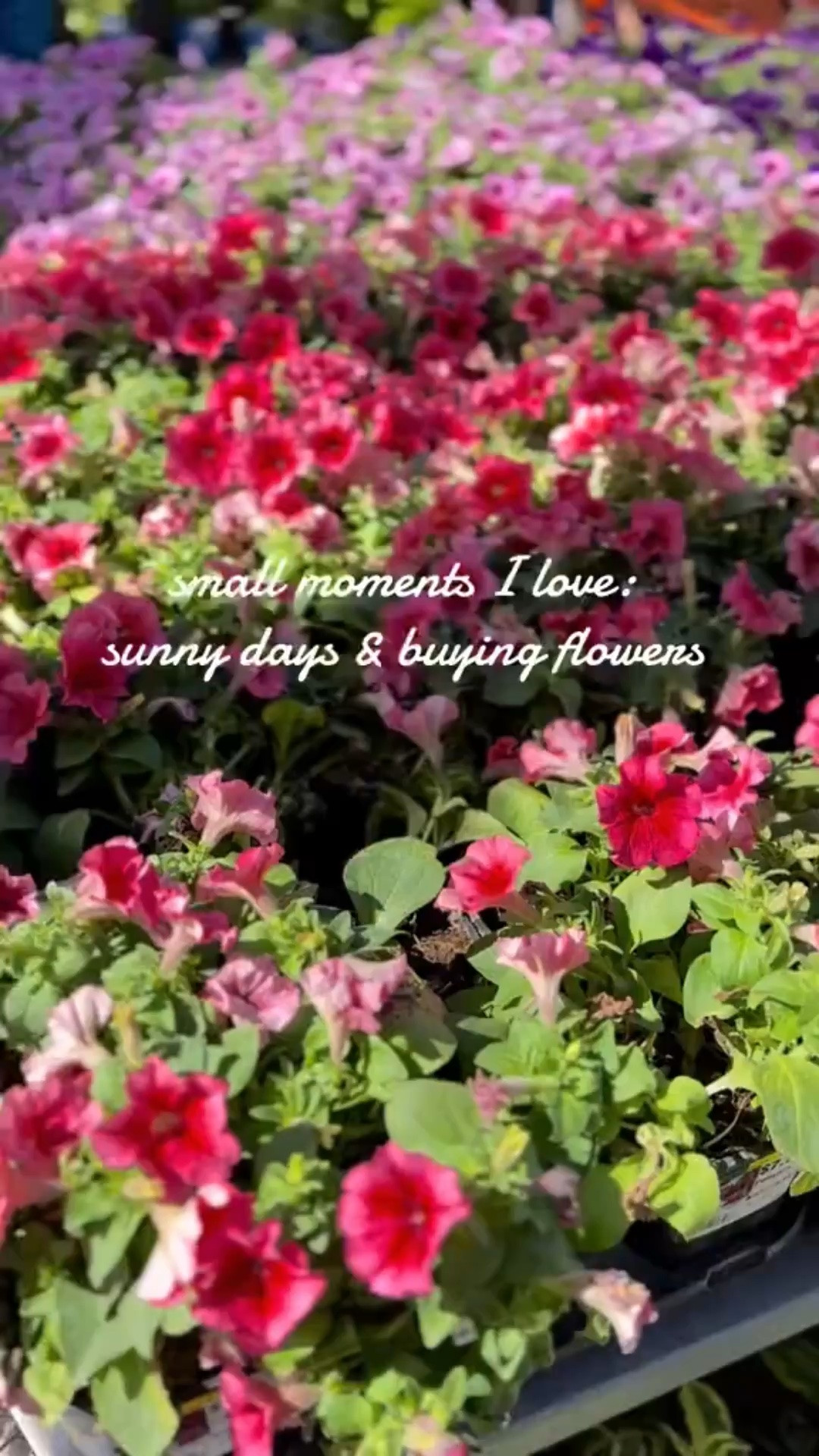 Raise your hand if your weakness is flowers 🙋🏼‍♀️

#LTKdayinmylife #LTKHome