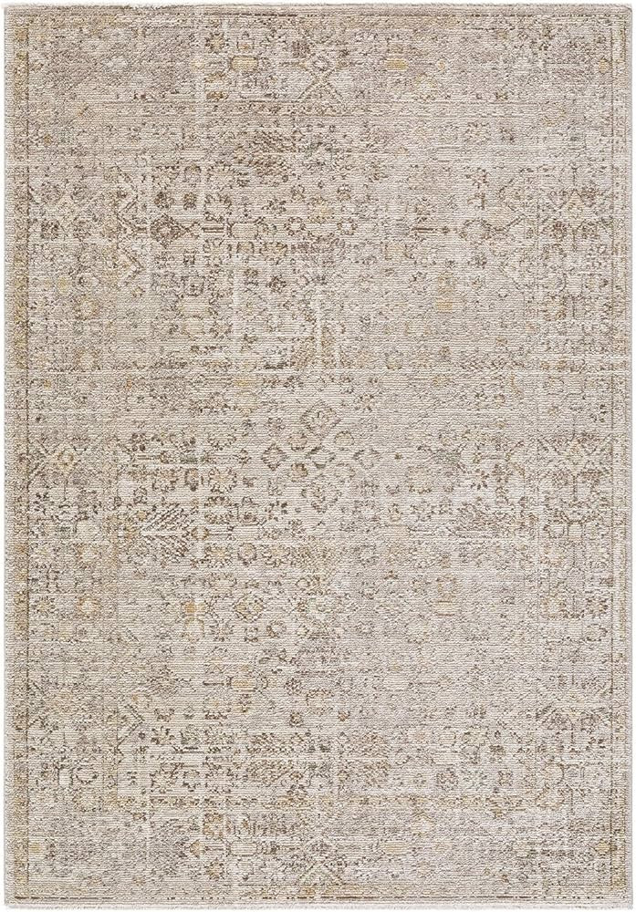 Livabliss x Galey Alix Myrtle Avenue I Vintage Medallion Area Rug, 5'3" x 7'7" (5' x 8'), Taupe | Amazon (US)