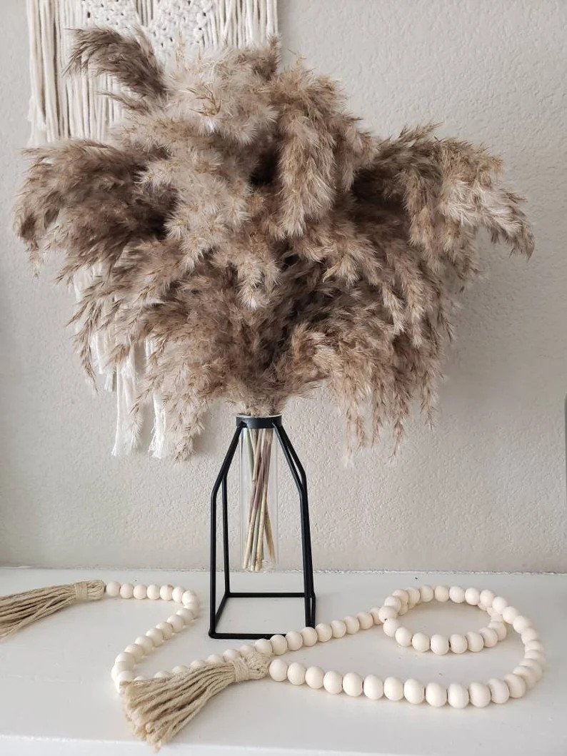 10 Pampas Grass Stems + Caged Vase | Etsy (US)
